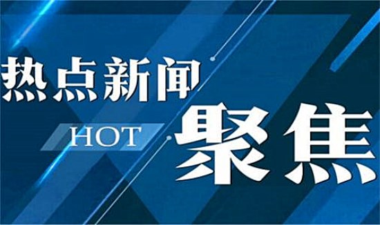 2025新澳门精准正版免费的警惕虚假宣传、全面释义答与解释落实