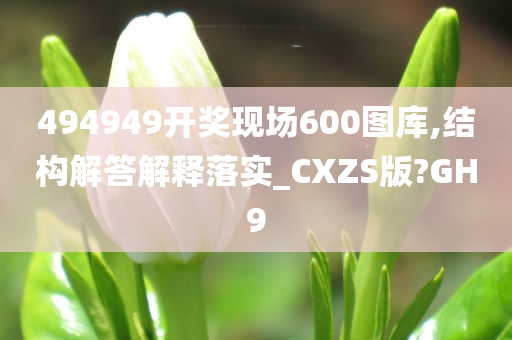 2025澳门精准正版图库的警惕虚假宣传、全面释义答与解释落实