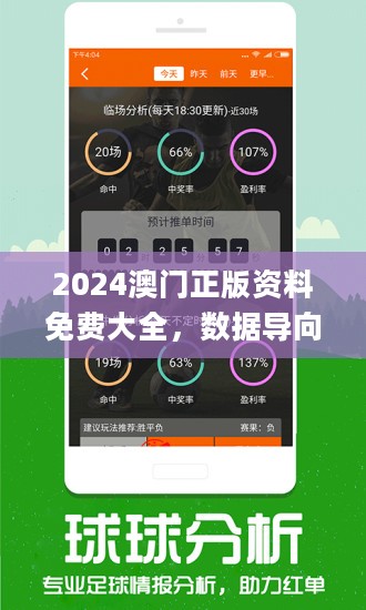 2025澳门免费资料,正版资料全面释义、解释与落实