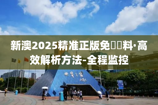 新澳2025精准正版免費資料，全面释义、解释与落实